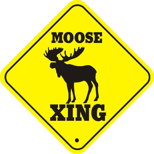 Moose_xing_thumb_640